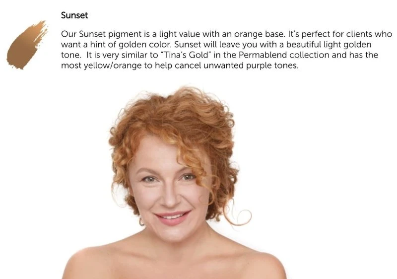 Tina Davies X Perma Blend - Sunset Collection Ink & Pigment