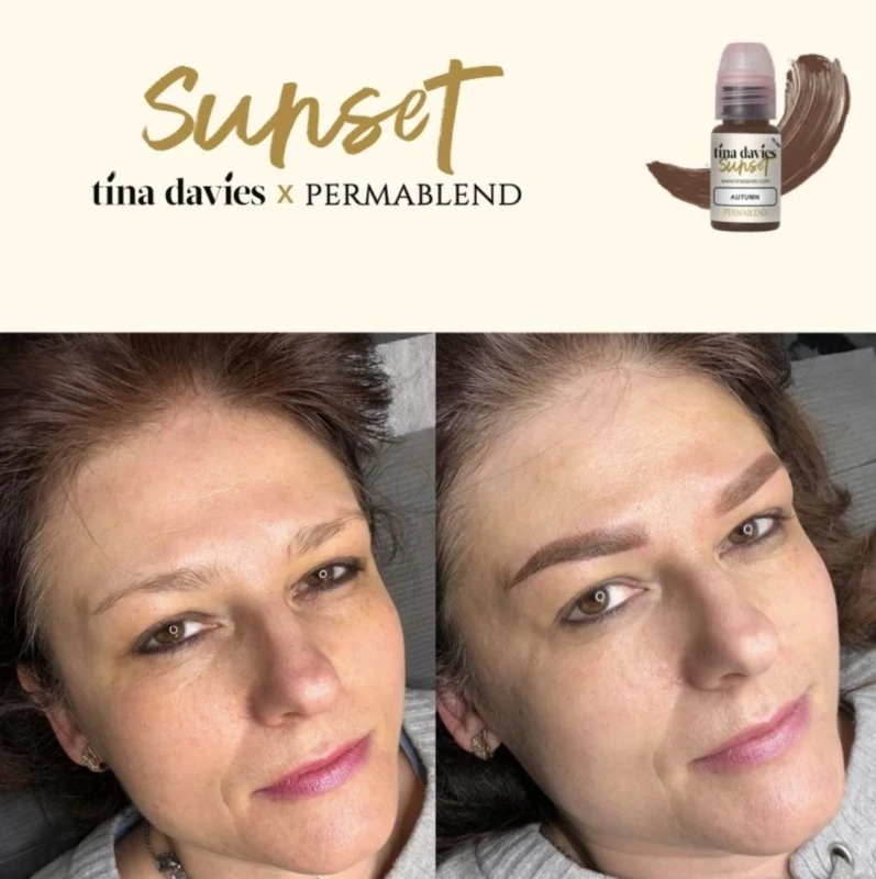 Tina Davies X Perma Blend - Sunset Collection Ink & Pigment