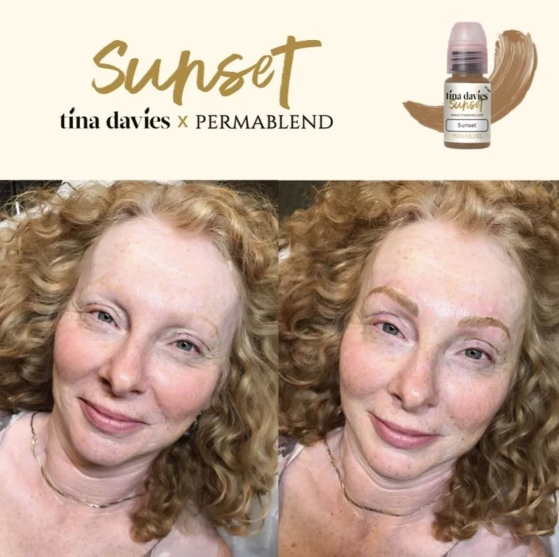 Tina Davies X Perma Blend - Sunset Collection Ink & Pigment