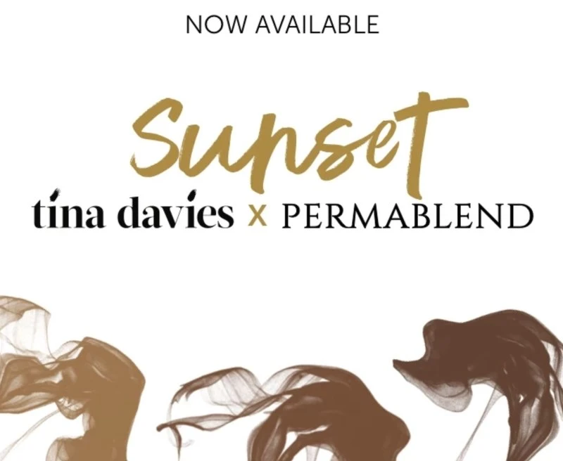 Tina Davies X Perma Blend - Sunset Collection Ink & Pigment